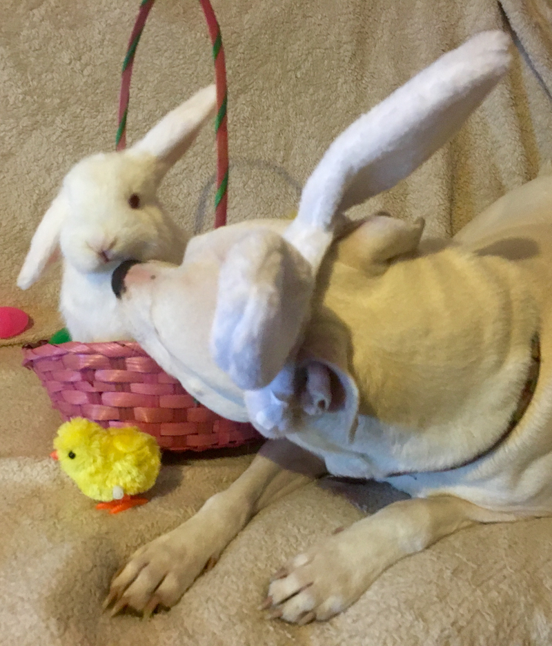 Illustration for article titled "Really, Mom? You don't think this is a little undignified?"